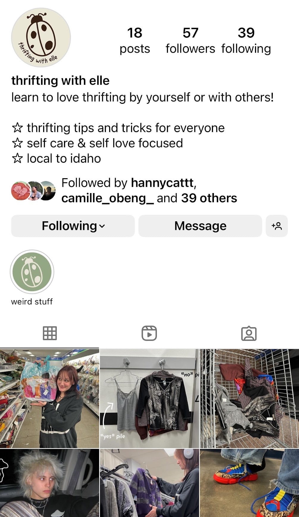 Screenshot of an instagram account called "Thrifting With Elle".